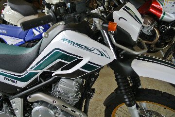 �Z���[�Q�T�O
