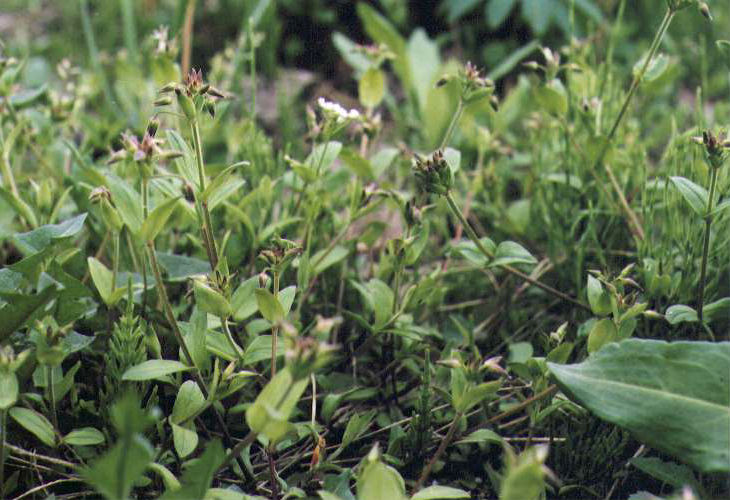 �~�~�i�O�T