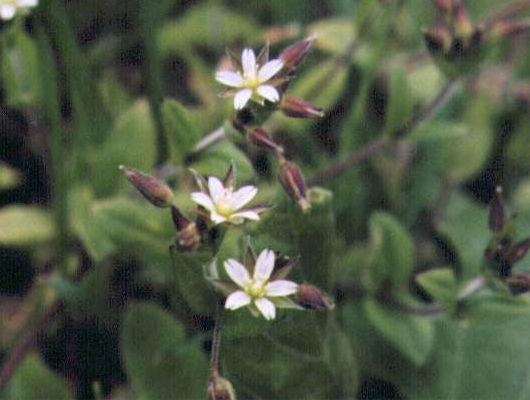 �~�~�i�O�T�̉�