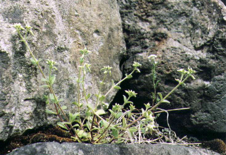 �I�����_�~�~�i�O�T