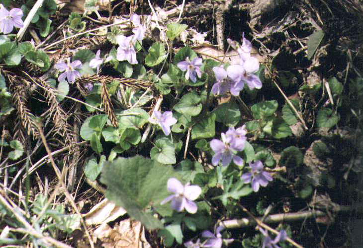 �^�`�c�{�X�~��