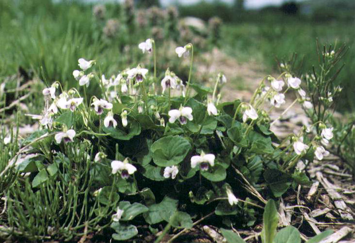 �c�{�X�~��