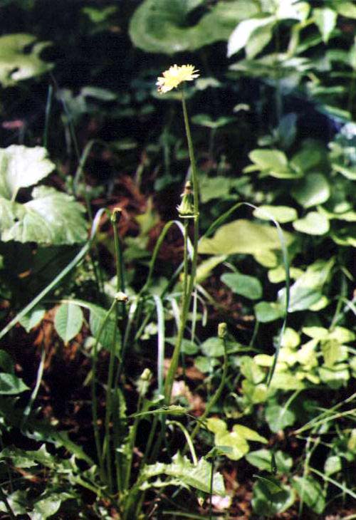 �G�]�^���|�|