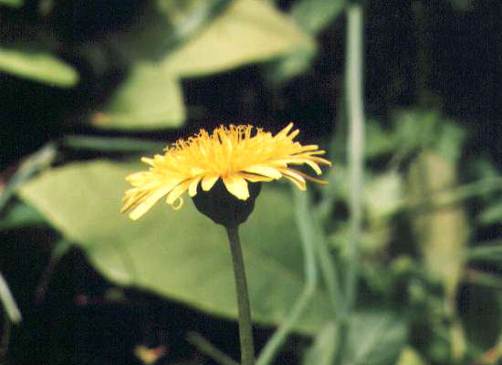 �G�]�^���|�|�̉�