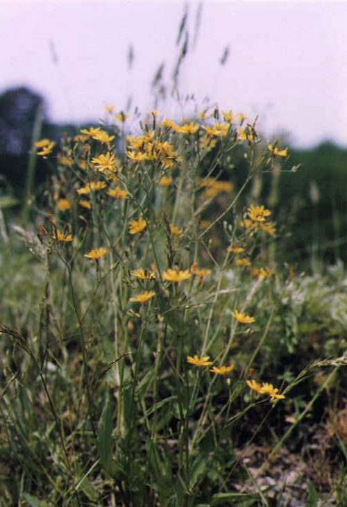 �n�i�j�K�i