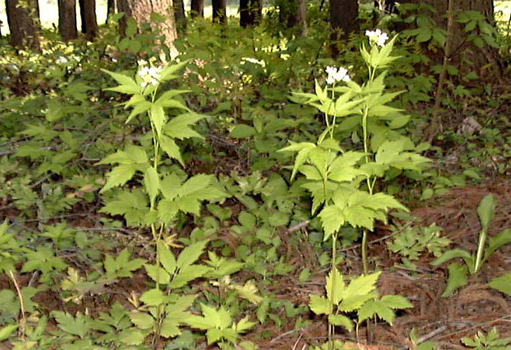 �R�������\�E