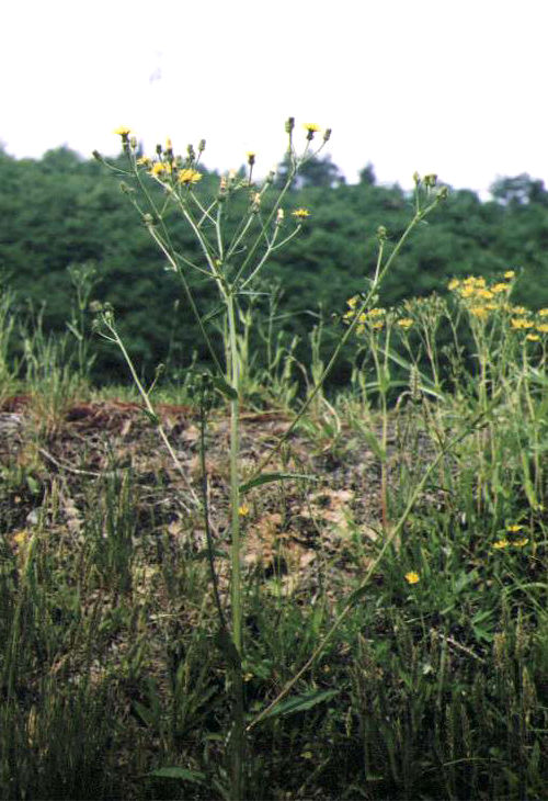 �R�E�]���i