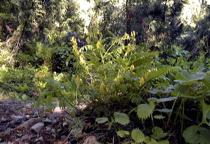 �~���}�L�P�}��