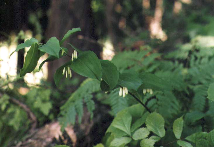 �~���}�i���R����