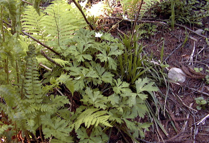 �j�����\�E