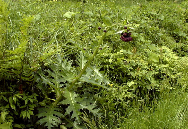 �I�j�A�U�~