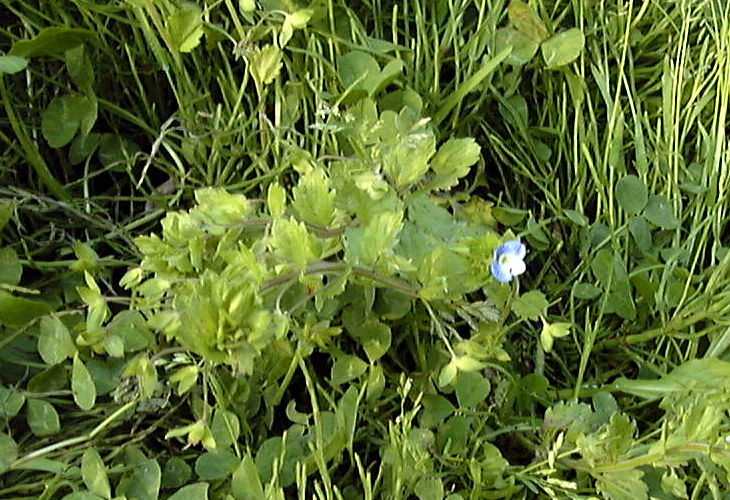 �I�I�C�k�m�t�O��