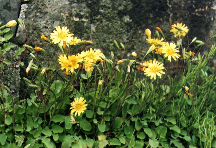 �I�I�W�V�o��