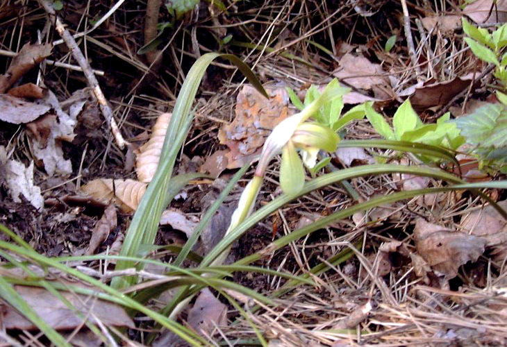 �V��������