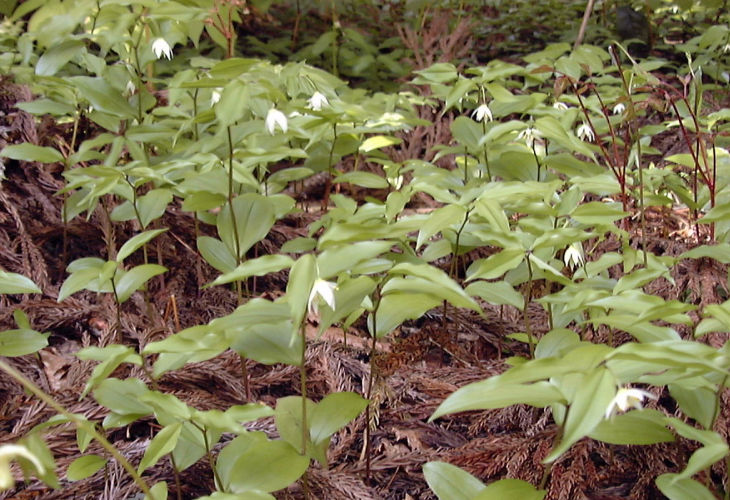 �`�S����