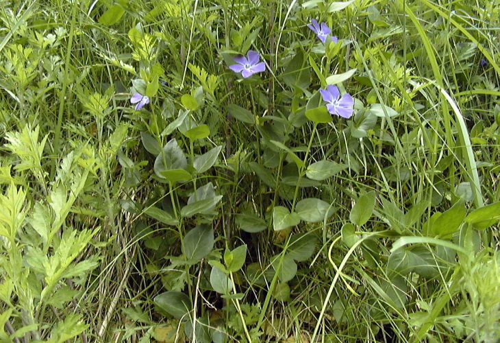 �c���j�`�j�`�\�E