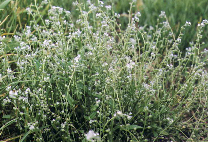 �m�n�������T�L