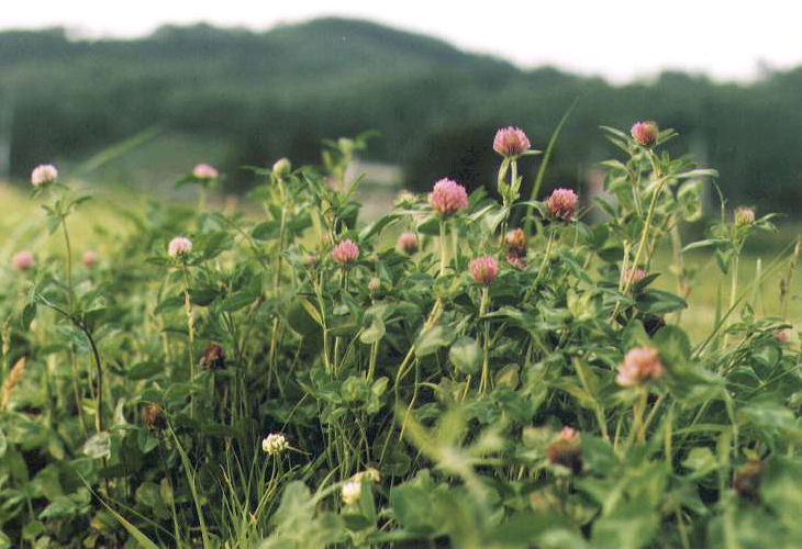 �A�J�c���N�T