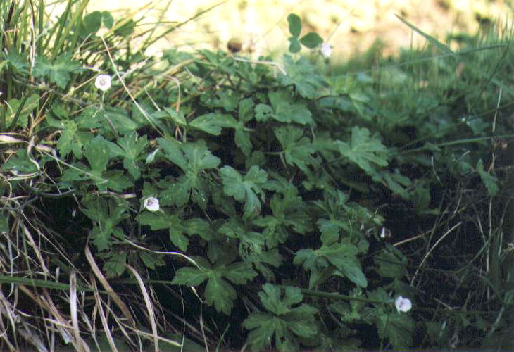 �Q���m�V���E�R