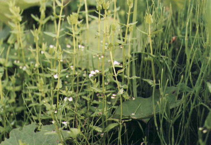 �q���i�~�L