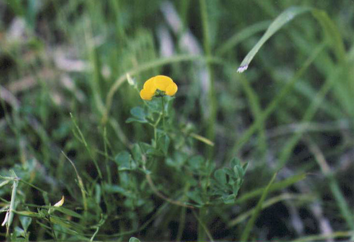 �~���R�O�T