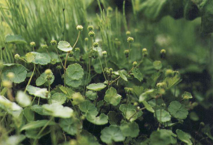 �I�I�`�h��