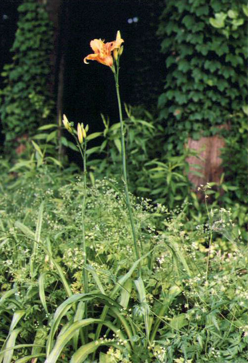 ���u�J���]�E