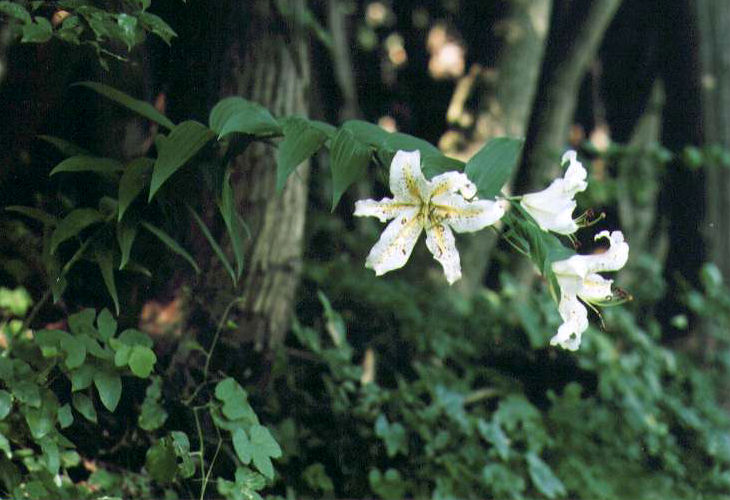 ���}����