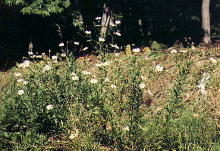 ���E�K�M�N