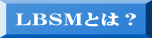 LBSM�Ƃ́H