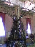 dp009.jpg