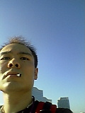 dp014.jpg