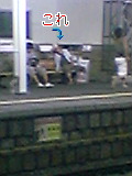 dp021.jpg