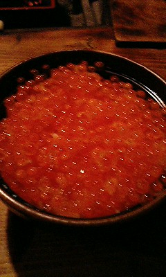 dp061.jpg
