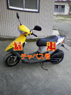 dp178.jpg